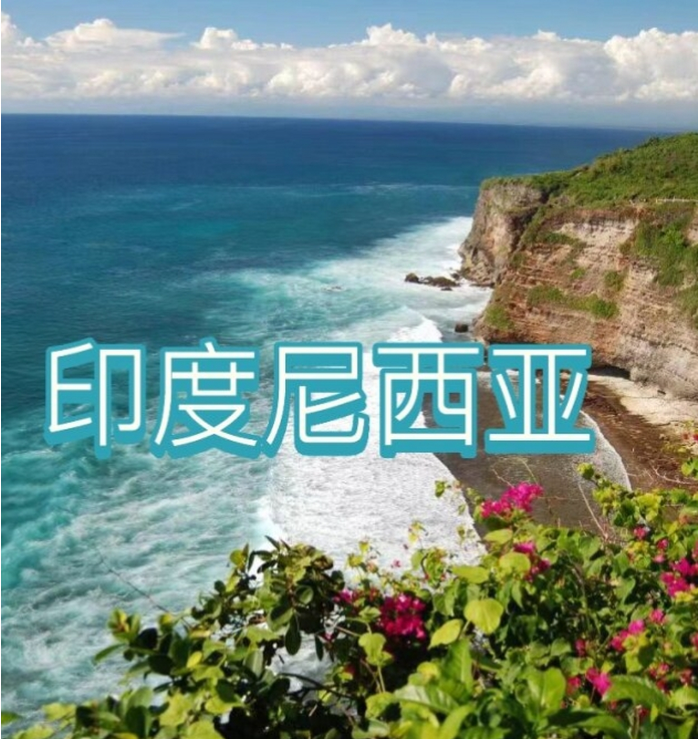 中国国际电商(印尼)产业博览会AG真人澳门百家家乐2025(图3) 中国国际电商(印尼)产业博览会AG真人澳门百家家乐2025(图3)