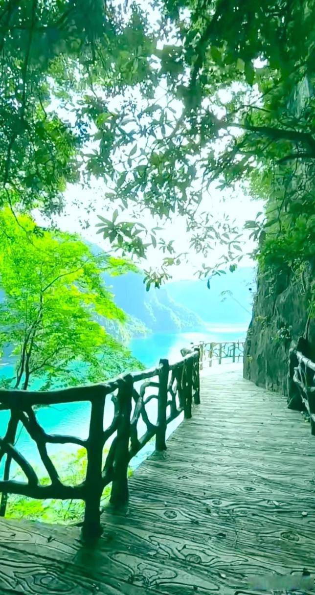 述：广州露营野餐好去处推荐AG真人试玩平台2026阐(图3)